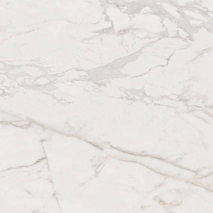 Tile and Beyond Massa 59.6x120cm