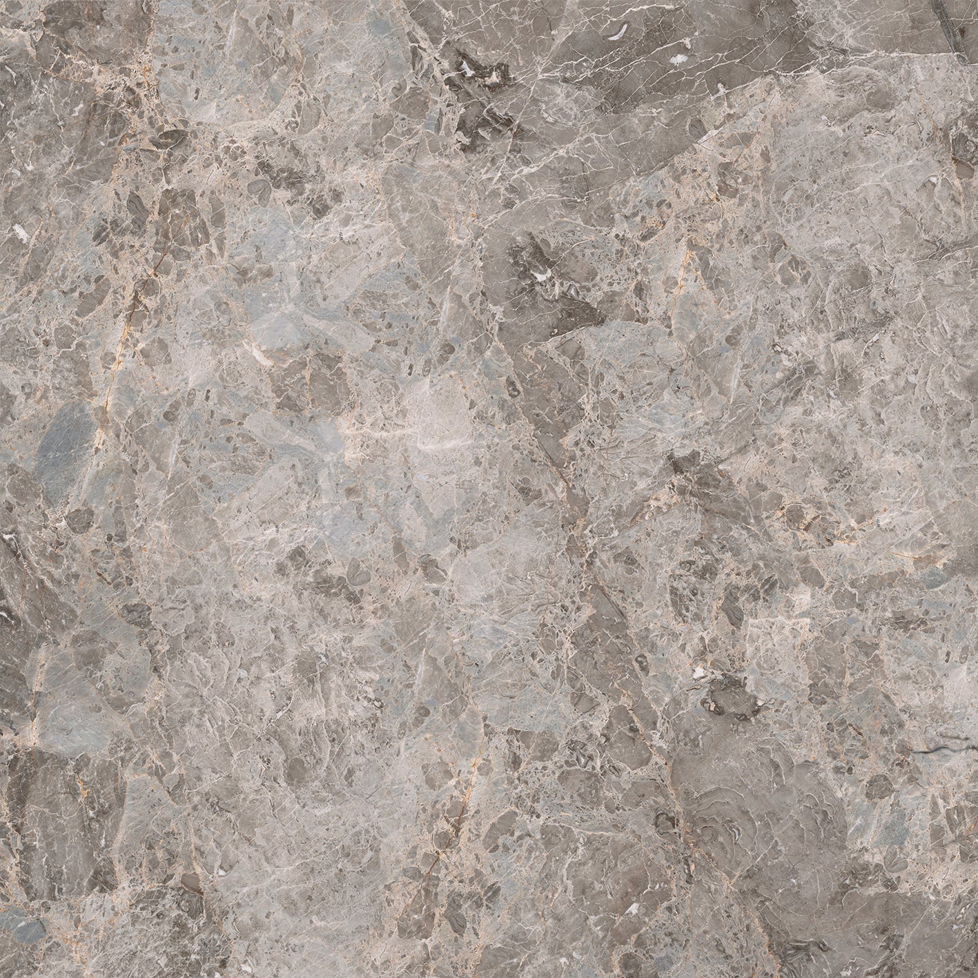 Tile and Beyond Elegant Grey Pul 120x120cm