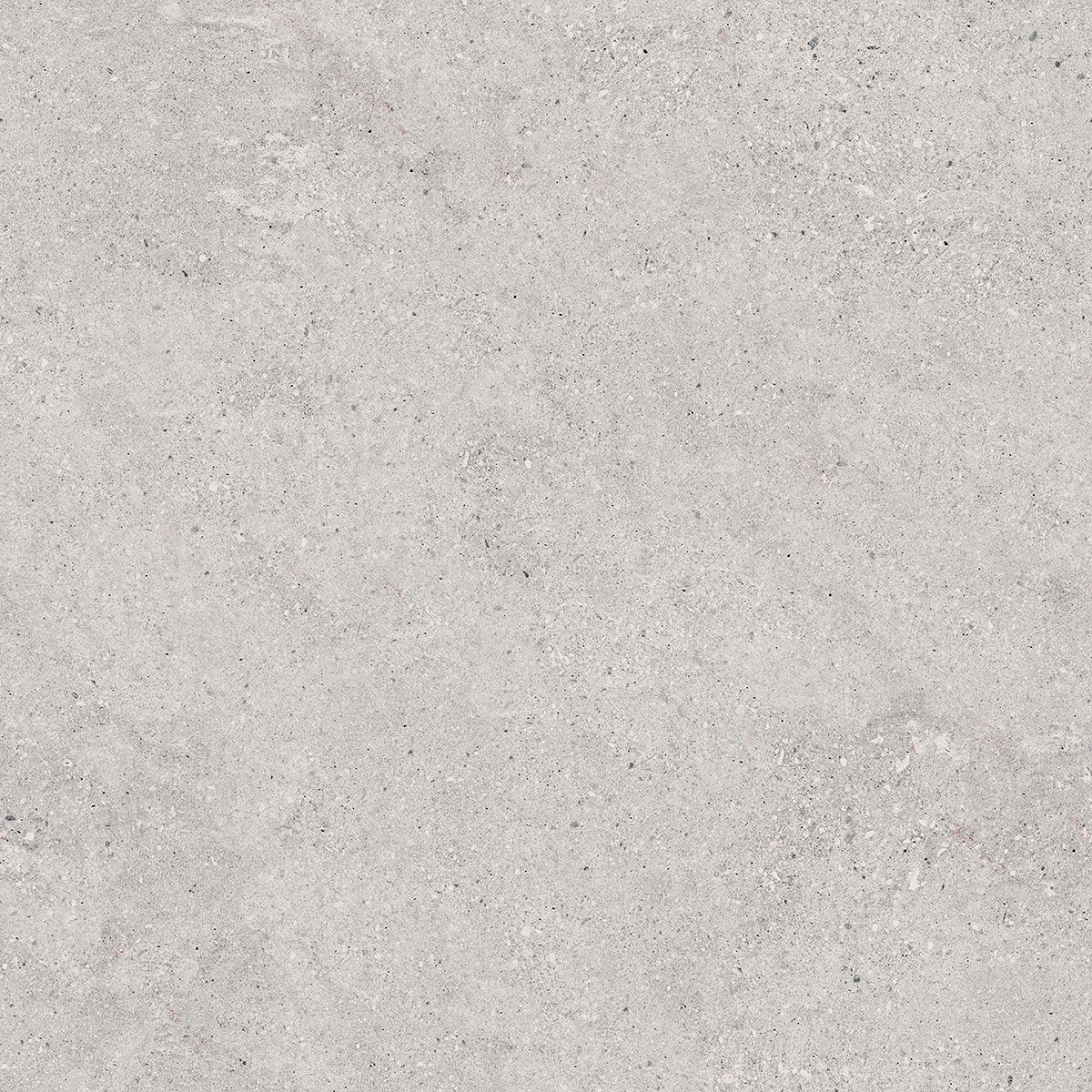 Tile and Beyond Prada Acero 120x120cm