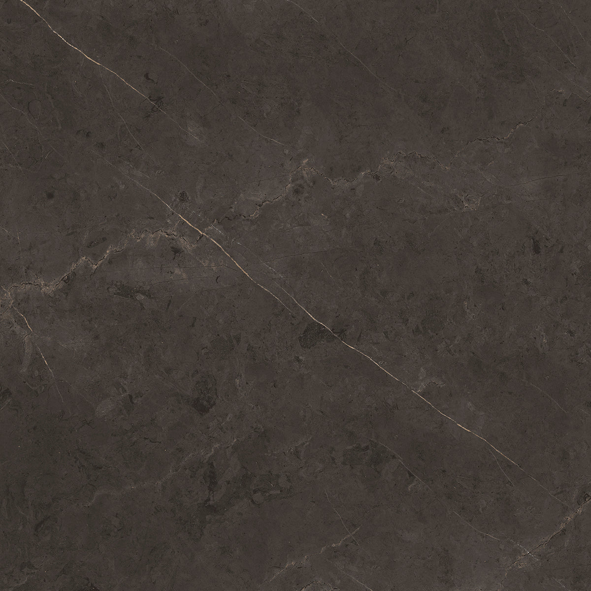 Tile and Beyond Karachi Grey 120x120cm