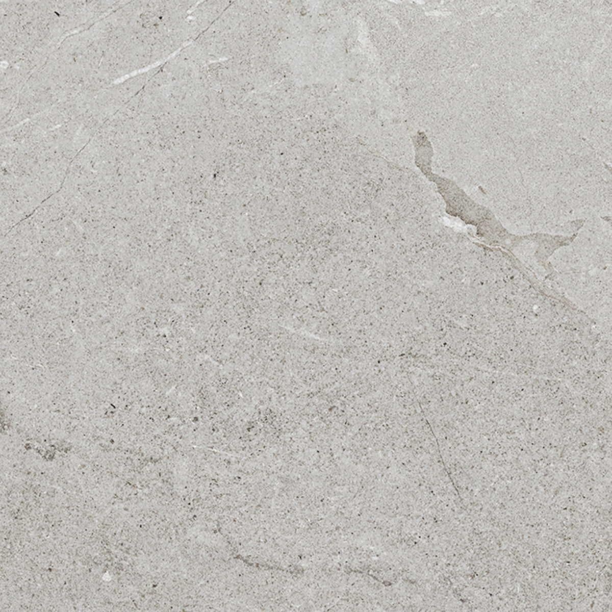 Tile and Beyond Lucerna Acero 59.6x59.6cm