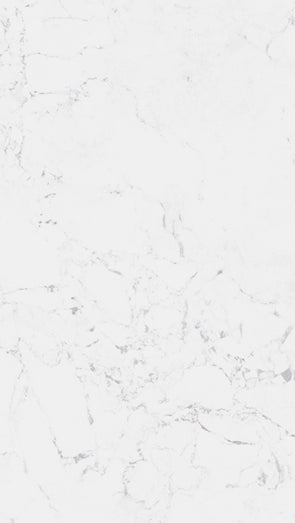Tile and Beyond Fontana Blanco 25x44.3cm