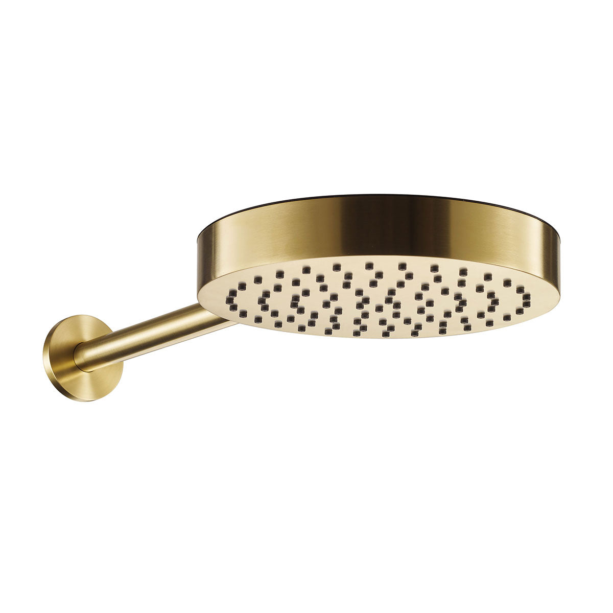 Shower head and arm