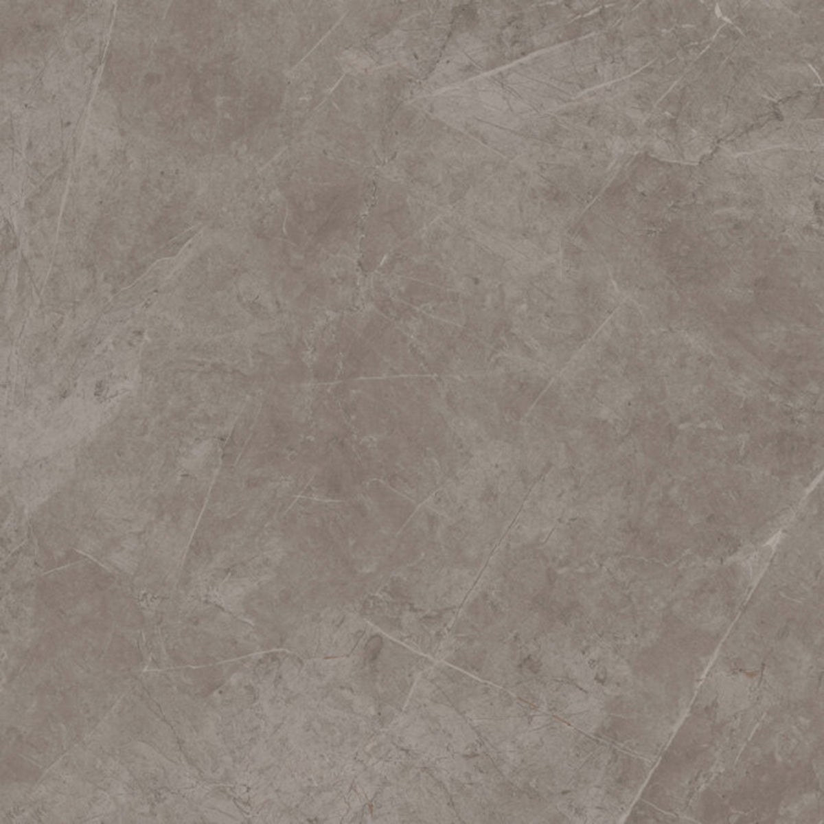 Minoli Exigo Jolie Grey Matt Tiles 60cm x 60cm EXG1005