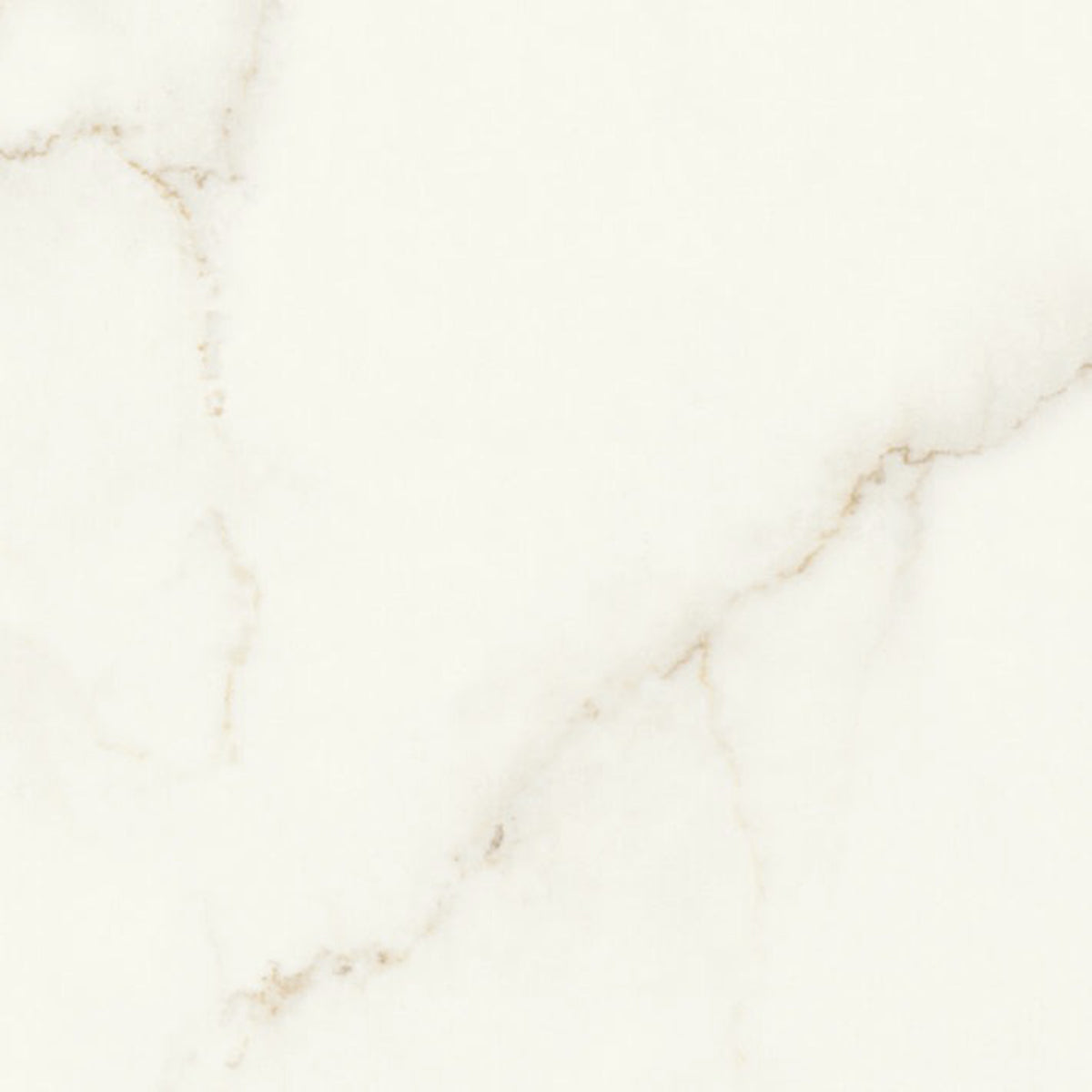 Minoli Marvel Calacatta Apuano Matt Tiles 60cm x 60cm MVX1072