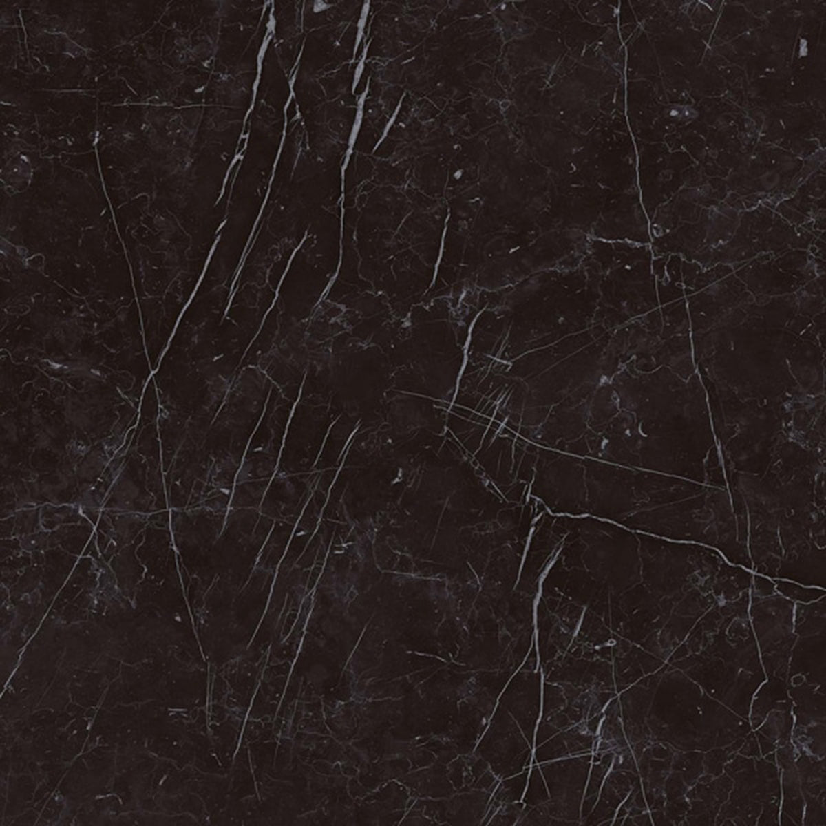 Minoli Marvel Nero Marquina Matt Tiles 60cm x 60cm VC03276