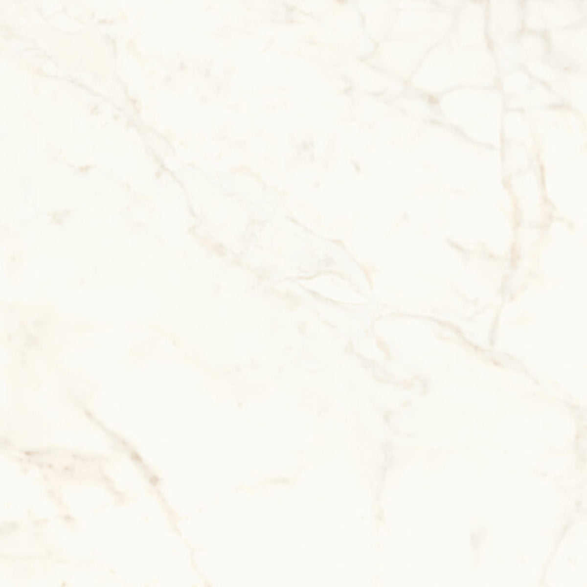 Minoli Marvel Calacatta Delicato Silk Tiles 60cm x 60cm VC03786