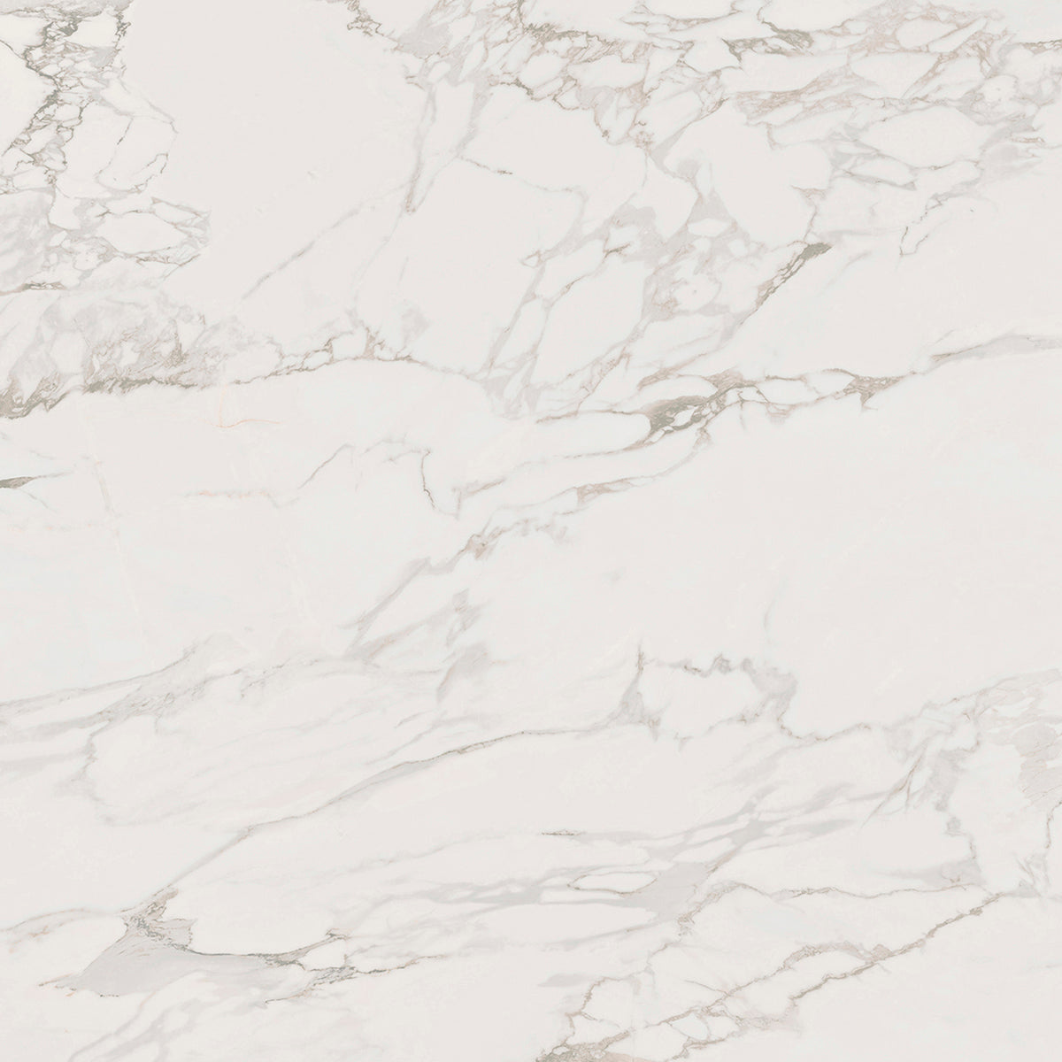 Tile and Beyond Massa Pul 1 120x120cm
