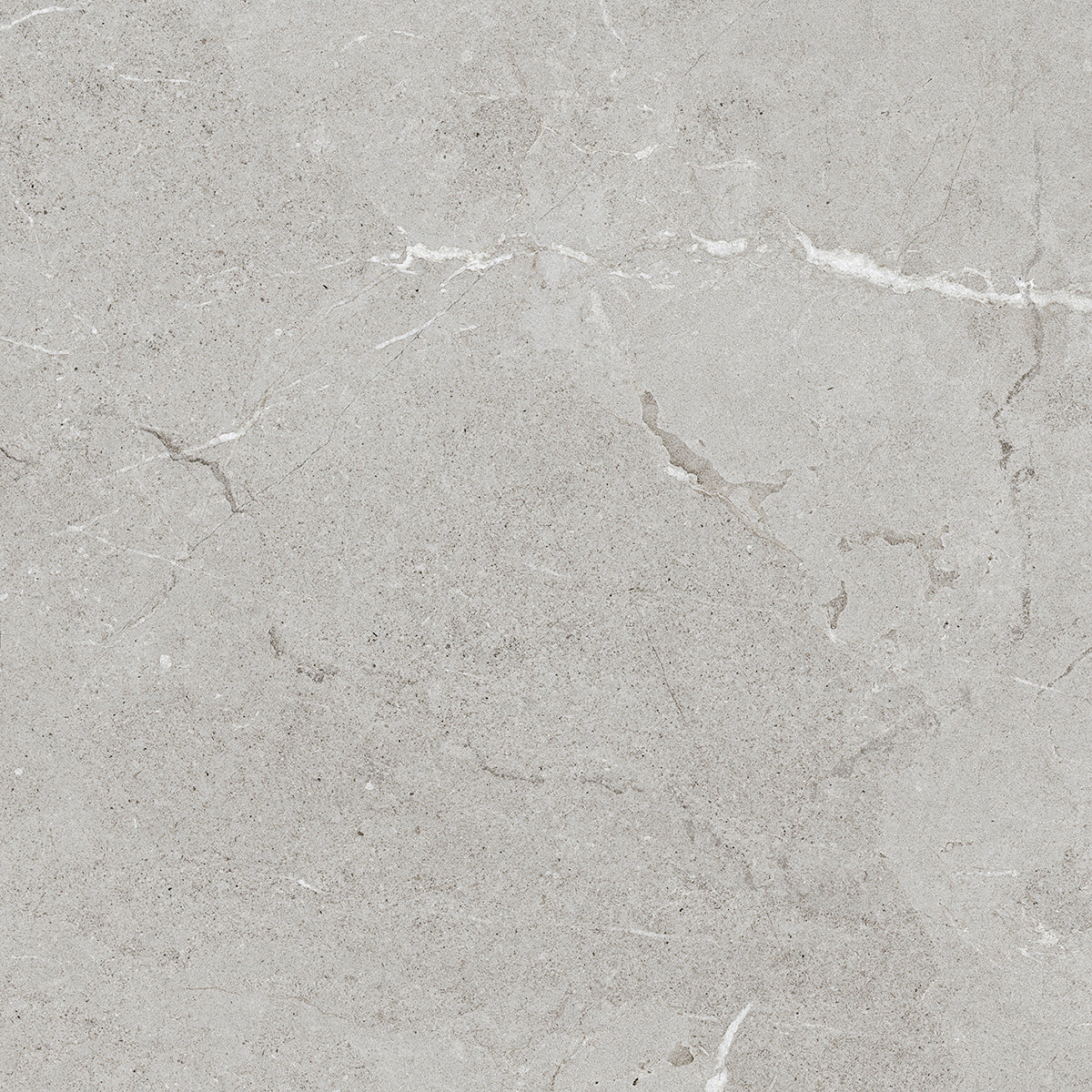 Tile and Beyond Lucerna Acero 120x120cm