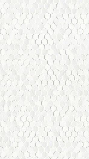 Tile and Beyond Dubai White 25x44.3cm