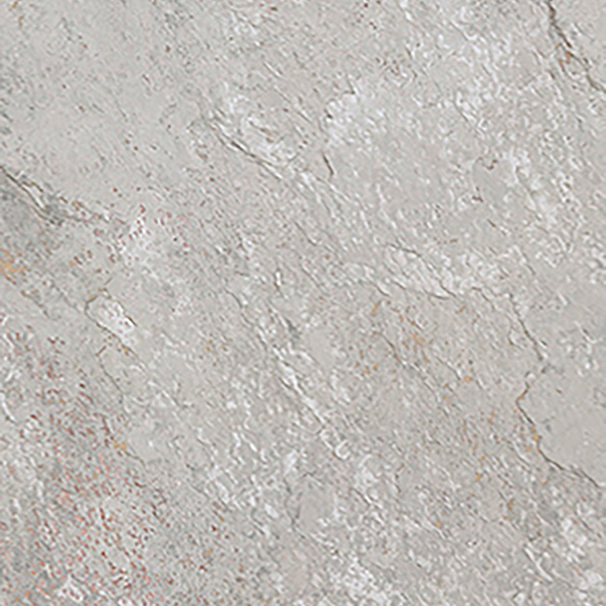 Tile and Beyond Image Silver 25x44.3cm