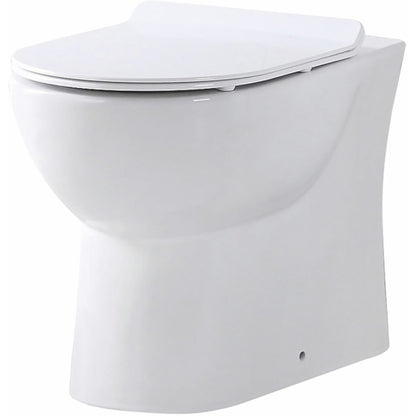 Luxe81 Toilet and Seat