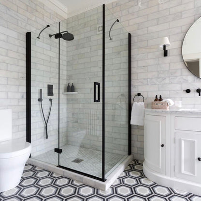 Merlyn Ionic Essence Frameless Hinge And Inline Shower Door
