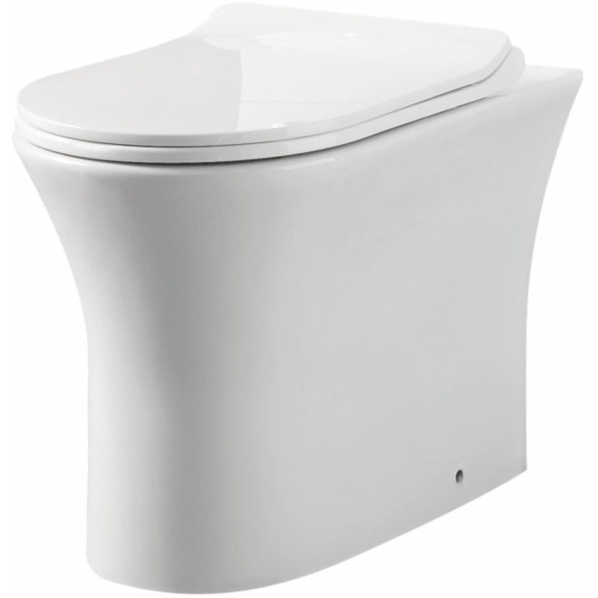 Luxe81 Toilet and Seat