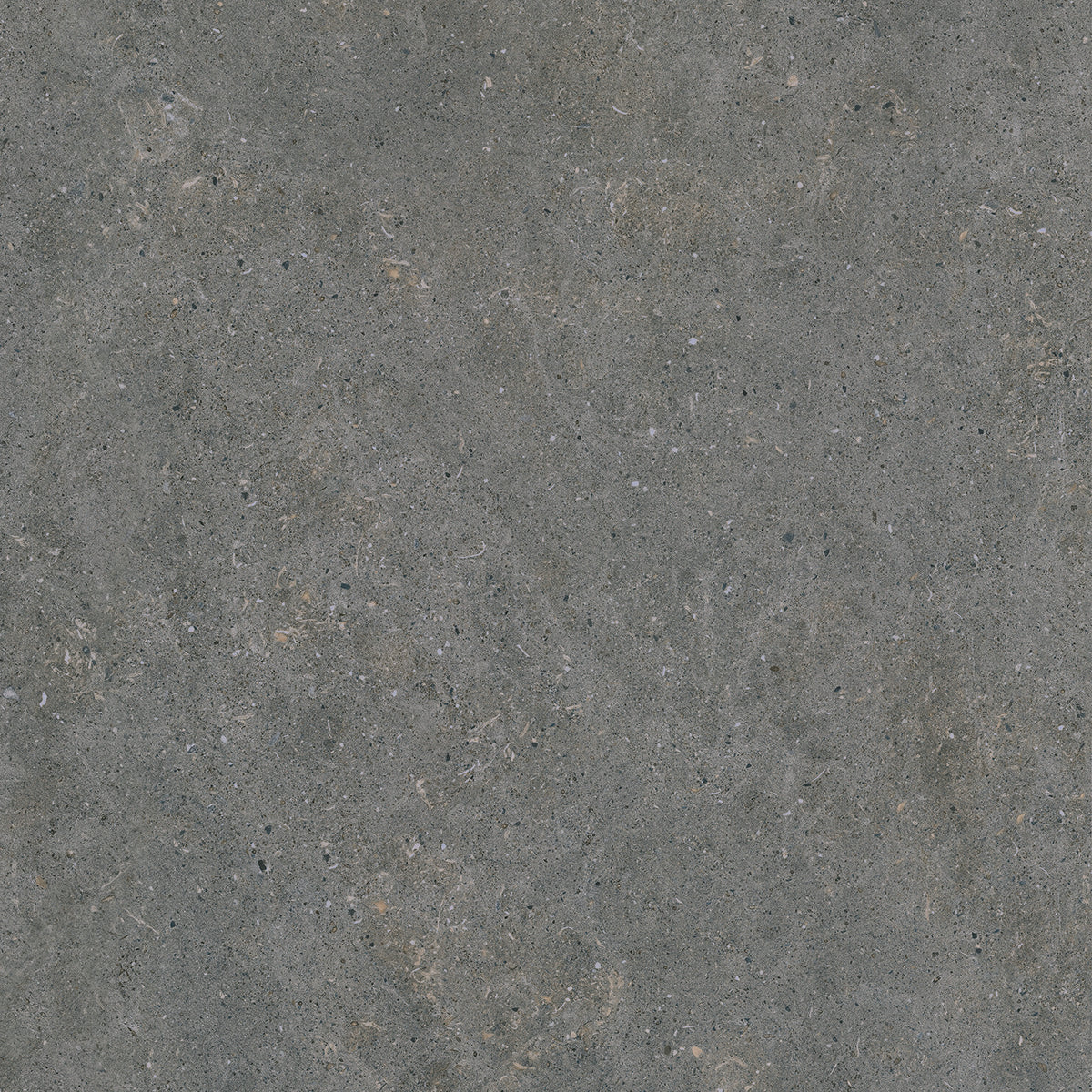 Luxe81 Journey Anthracite Tile 600x300x9mm CIJOU36A