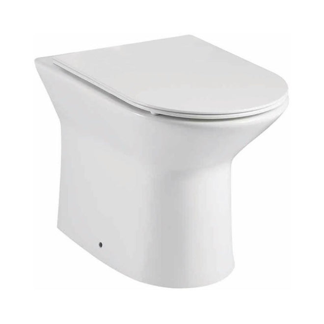 Luxe81 Toilet and Seat