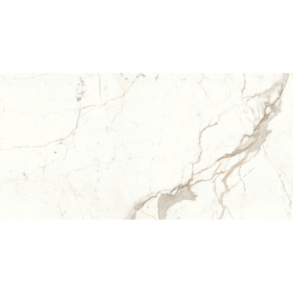 Minoli Marvel Calacatta Prestigio Lappato Tiles 60cm x 120cm MVH1025