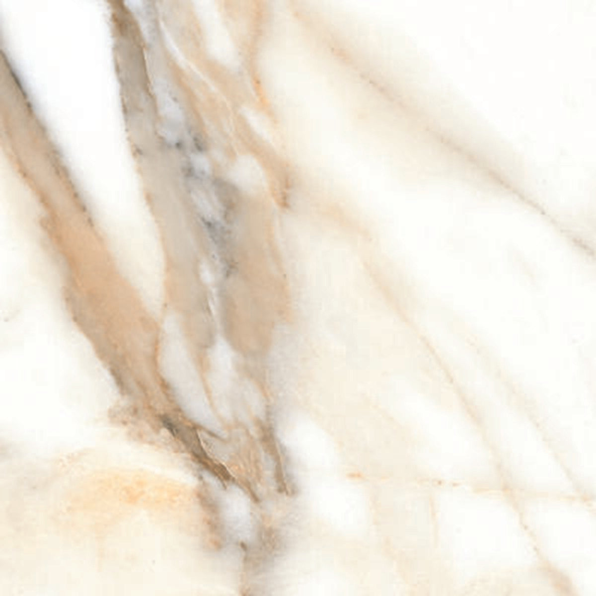 Luxe81 Book Calacatta Polished Tile 600x1200x10mm FNCAL126P