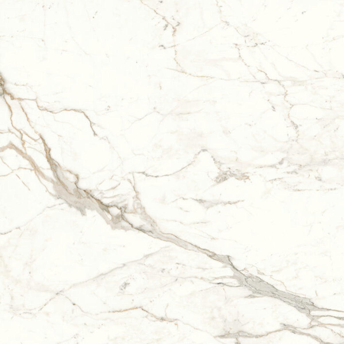 Minoli Marvel Calacatta Prestigio Lappato Tiles 60cm x 60cm VC03782